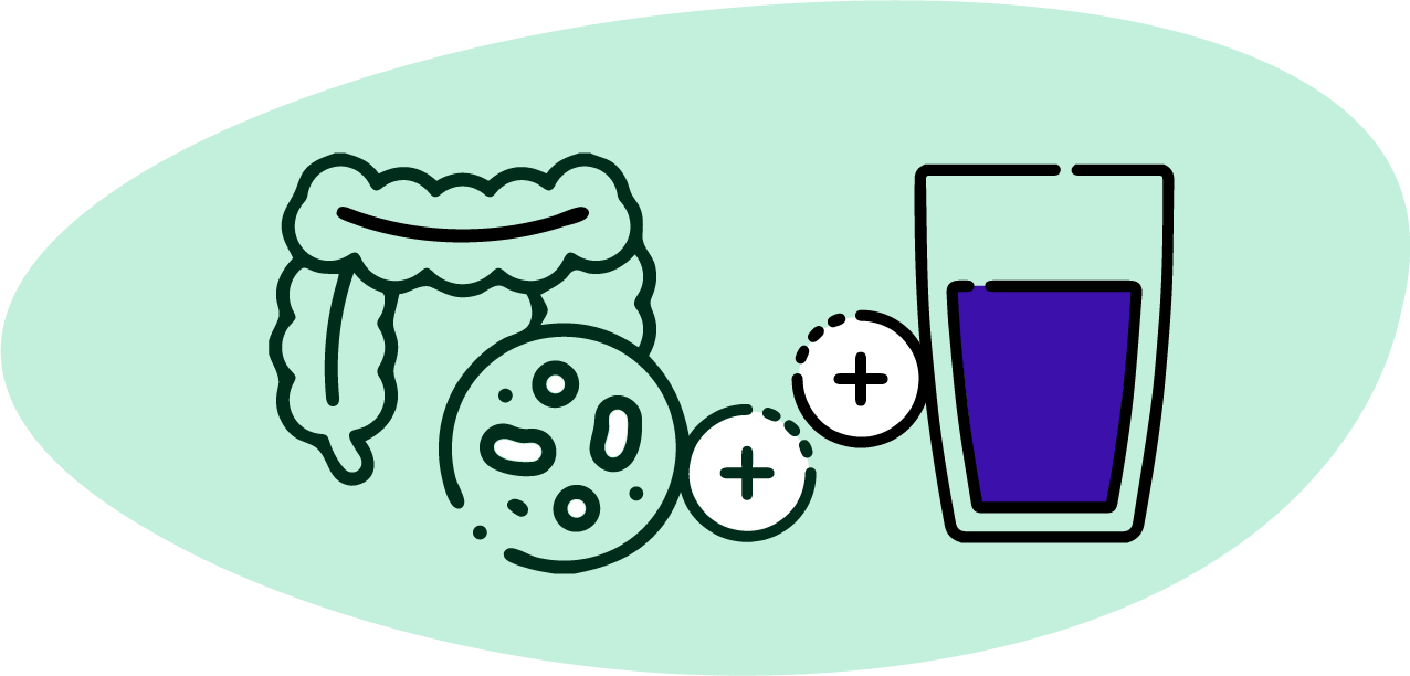 illustration Enrichissement microbiote intestinal phycocyanine bienfaits